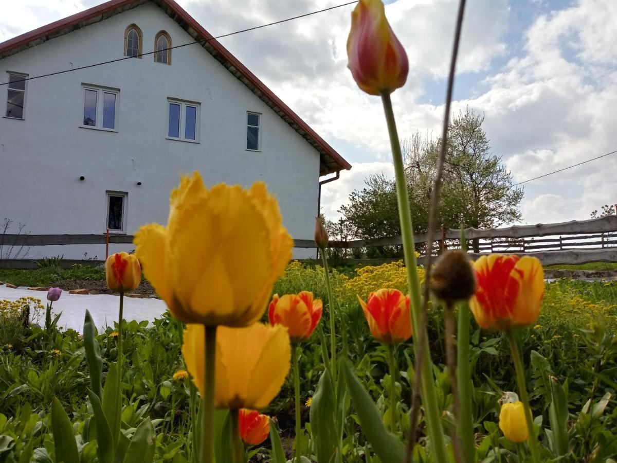 Zakatek Szczescia Eko Agroturystyka Kiwity ภายนอก รูปภาพ
