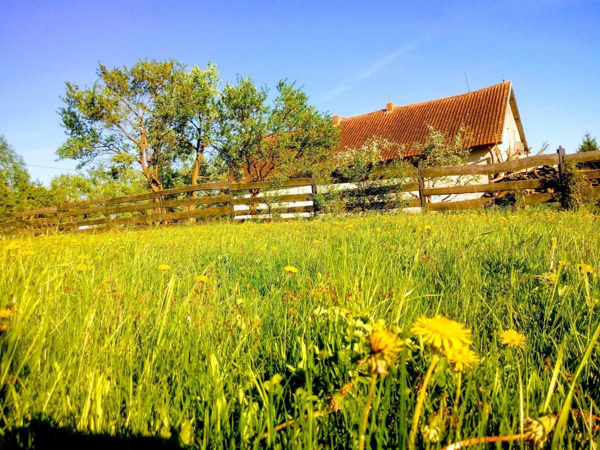 Zakatek Szczescia Eko Agroturystyka Kiwity ภายนอก รูปภาพ